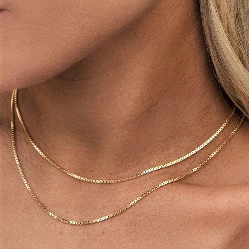 Snake Box Gold  Choker Necklaces